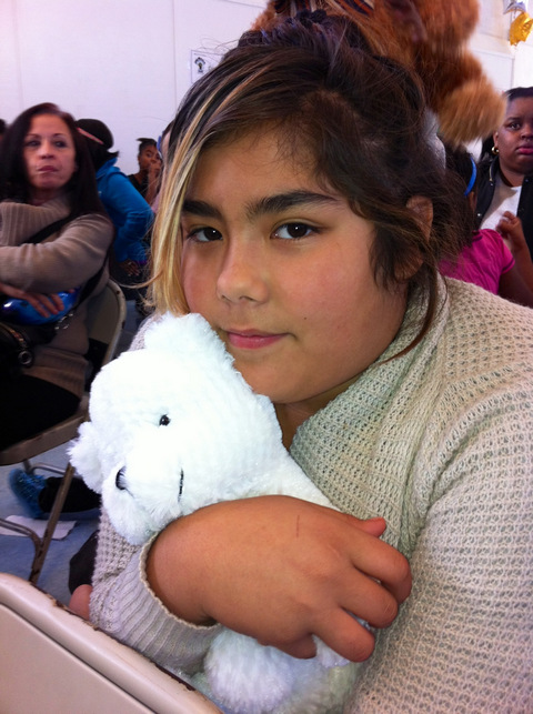 TEDDY BEAR PROGRAM visual data 7